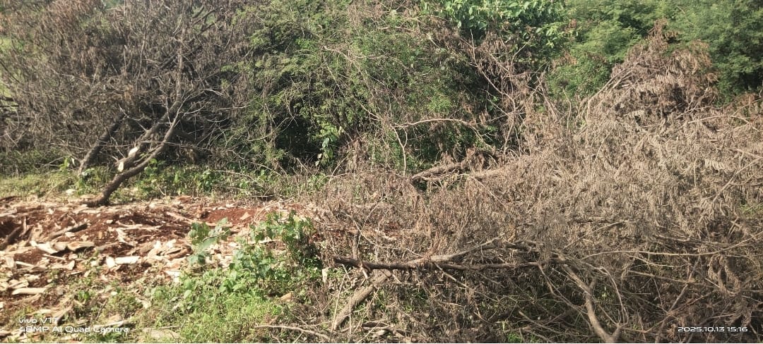 WhatsApp Image 2025-10-16 at 3.49.23 PM (1)