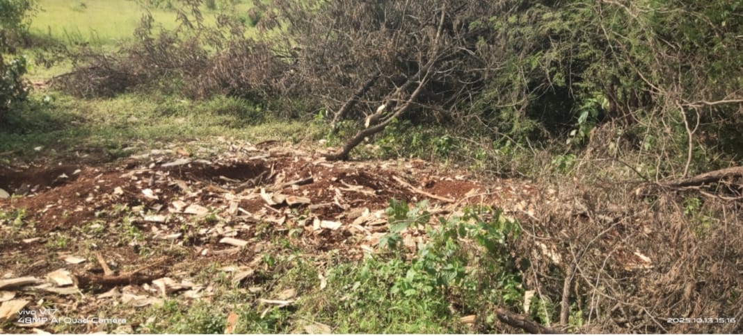 WhatsApp Image 2025-10-16 at 3.49.23 PM