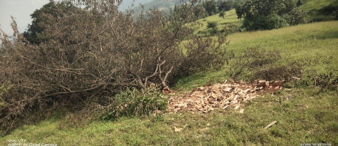 WhatsApp Image 2025-10-16 at 3.49.24 PM