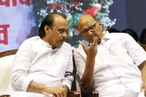 'शपथविधी पूर्वीच अजित पवार झाले पक्षाचे राष्ट्रीय अध्यक्ष'