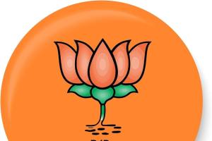 भाजपने दिली एकाच कुटुंबातील सहा जणांना उमेदवारी